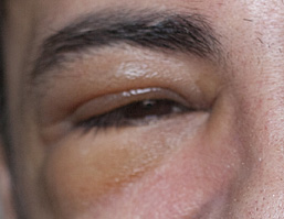 index.php/fa/8772/0/