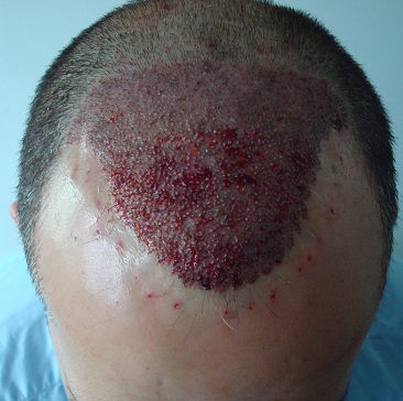 index.php/fa/8936/0/