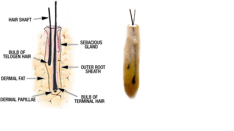index.php/fa/9124/0/