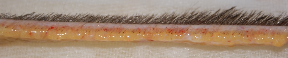 index.php/fa/9135/0/