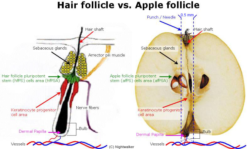 index.php/fa/9221/0/