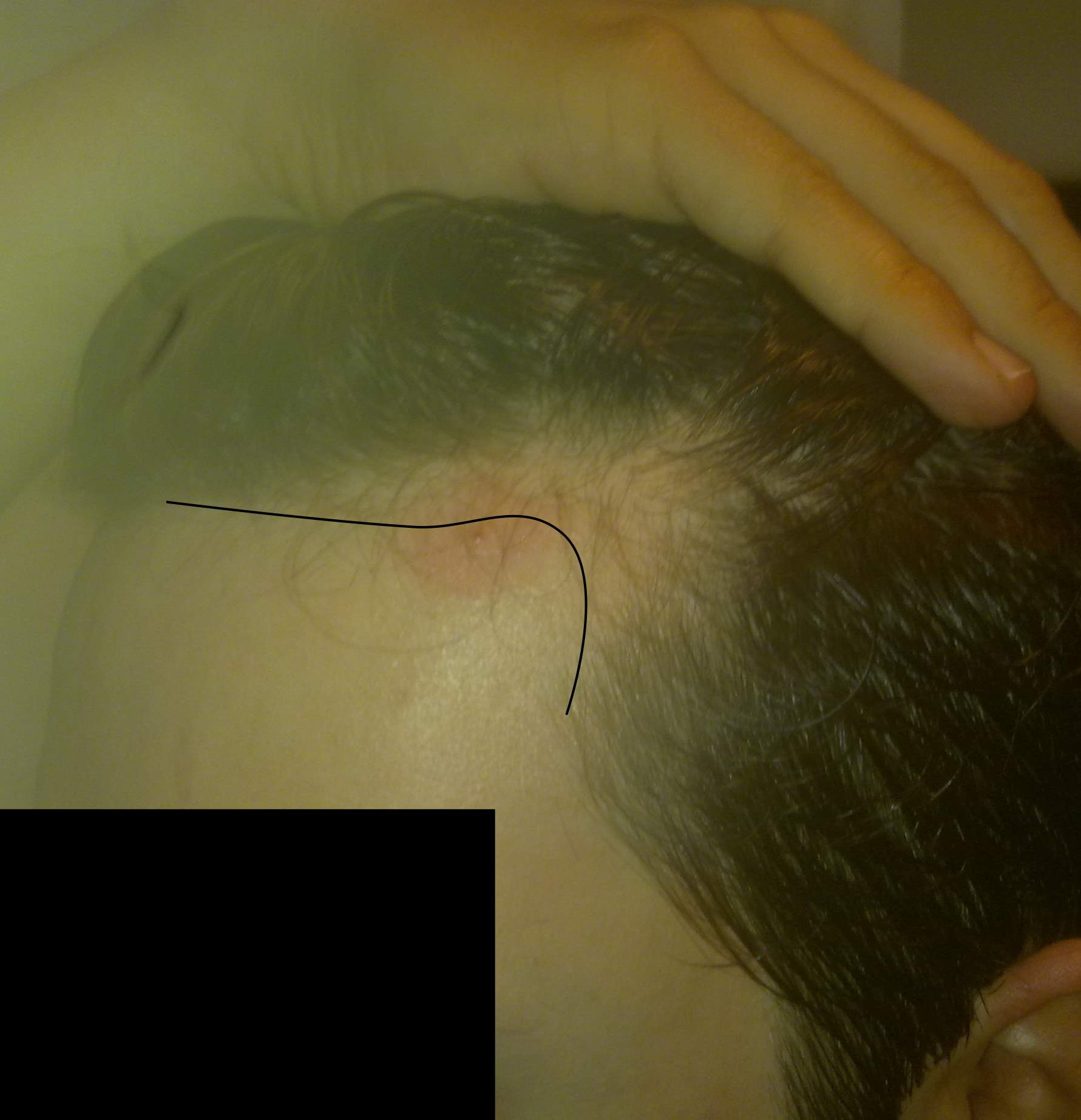 index.php/fa/9380/0/