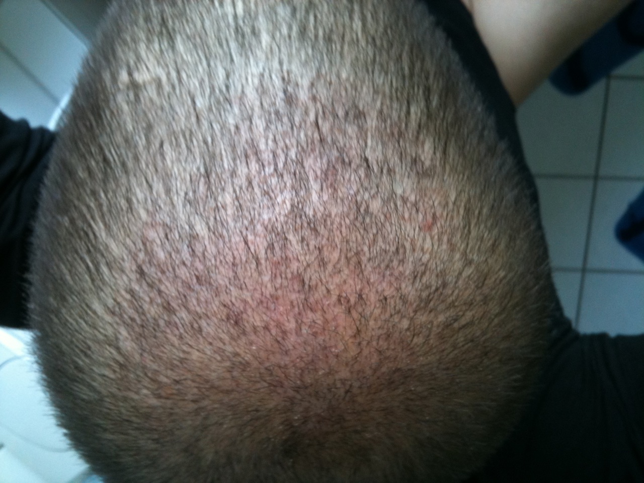 index.php/fa/9435/0/