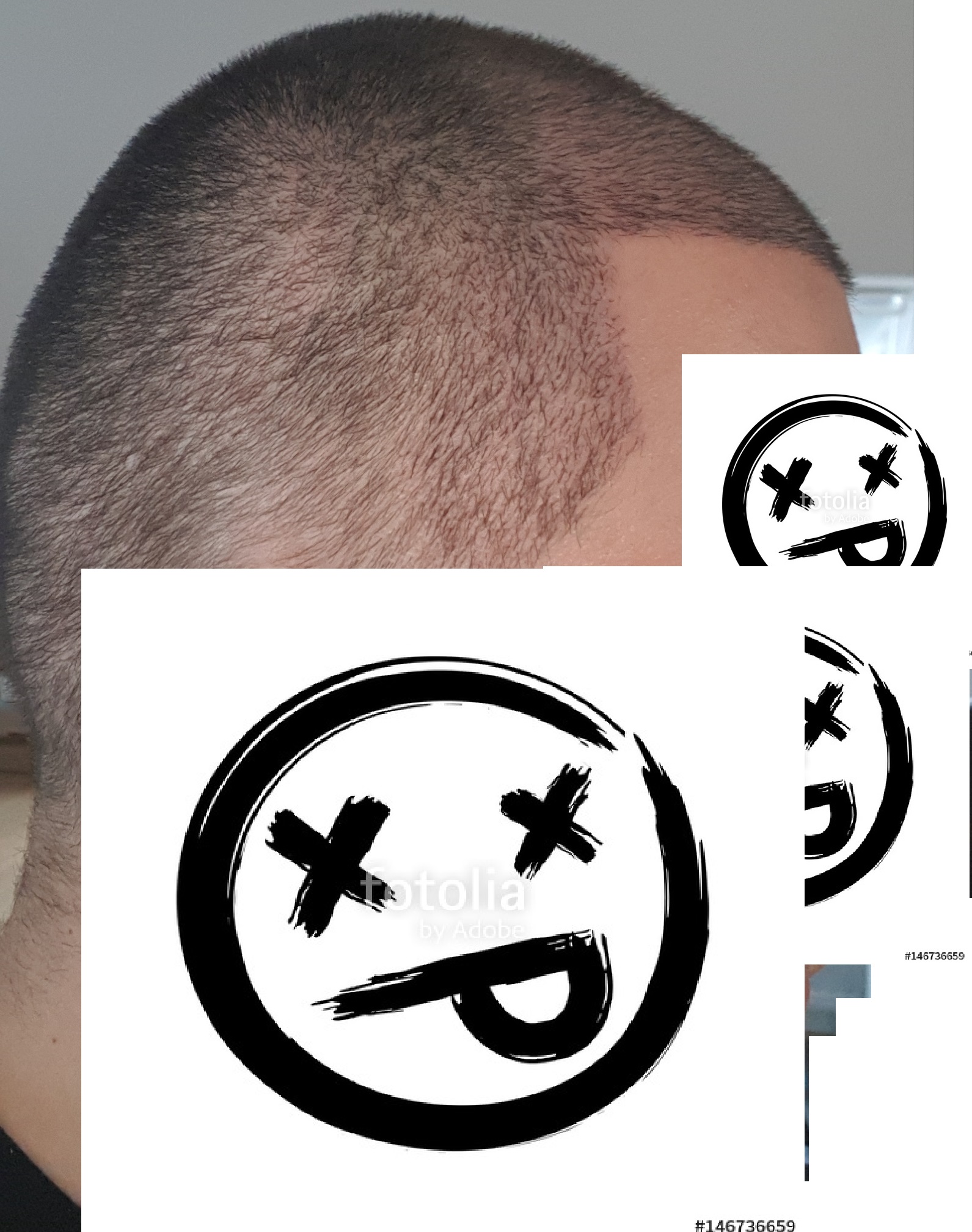 /foren/transplant/index.php?t=getfile&id=39102&private=0