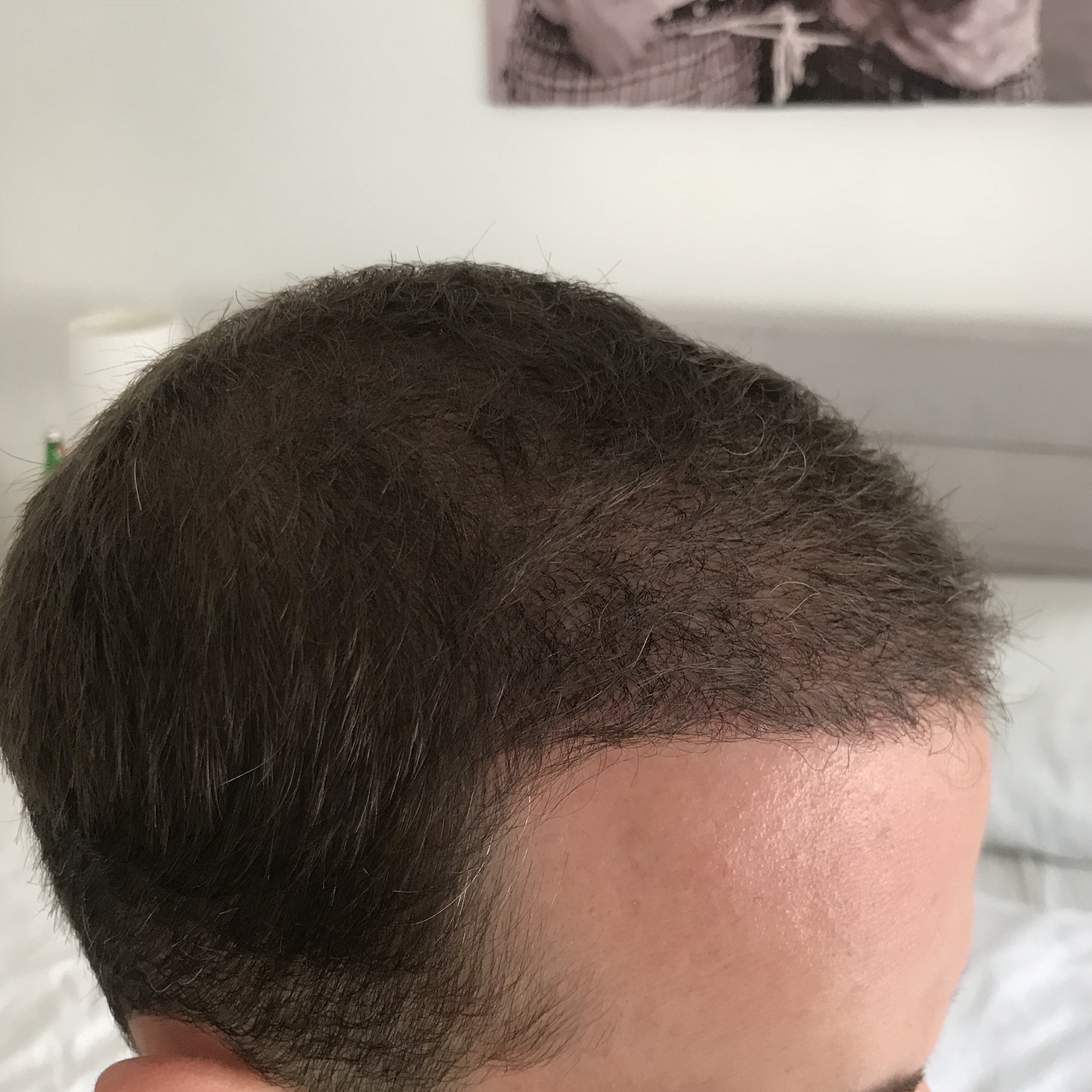 /foren/transplant/index.php?t=getfile&id=39153&private=0