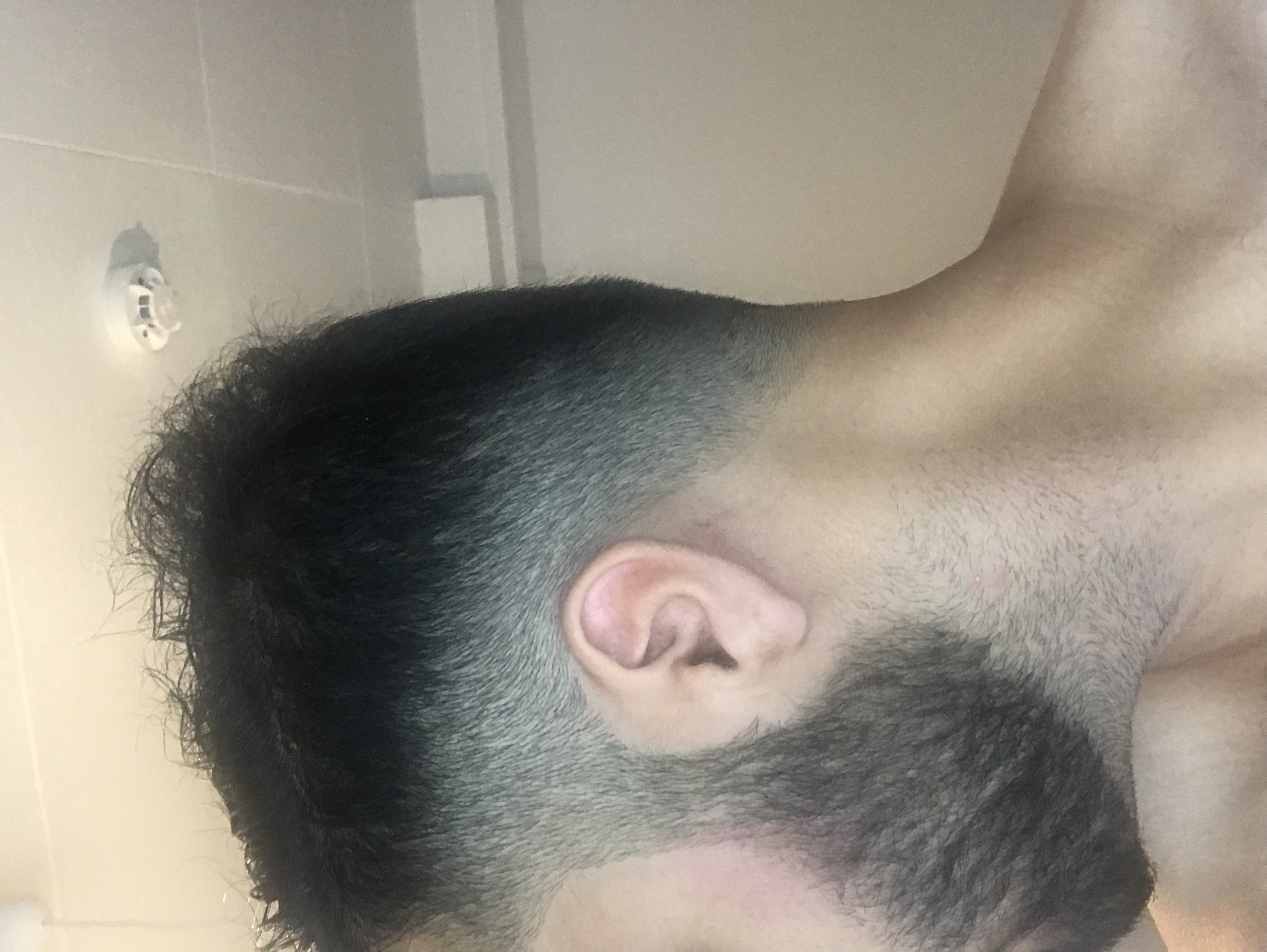 /foren/transplant/index.php?t=getfile&id=39167&private=0