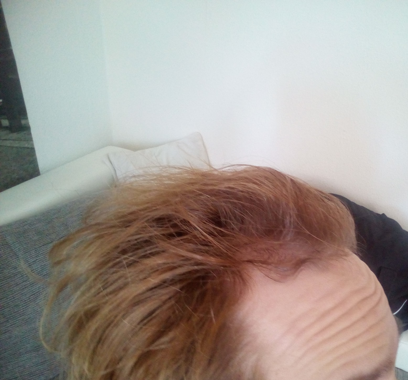 /foren/transplant/index.php?t=getfile&id=39198&private=0