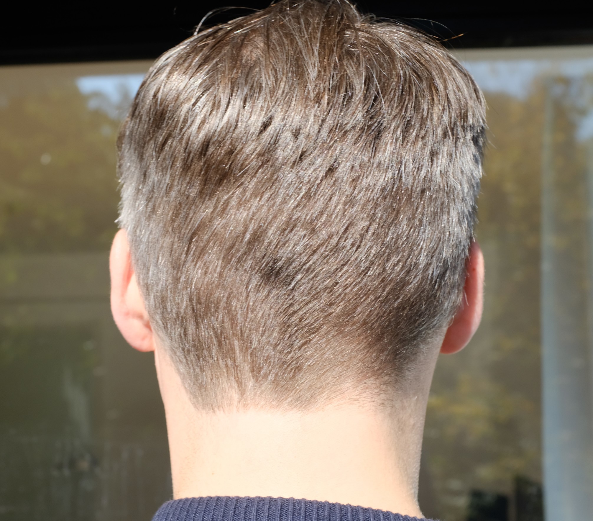 /foren/transplant/index.php?t=getfile&id=40207&private=0