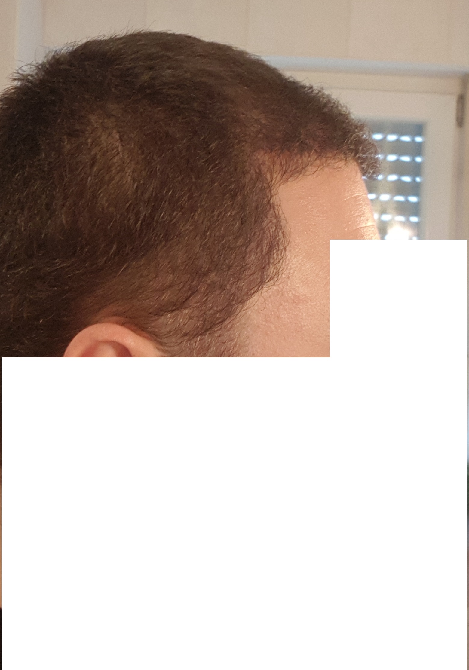 /foren/transplant/index.php?t=getfile&id=40545&private=0