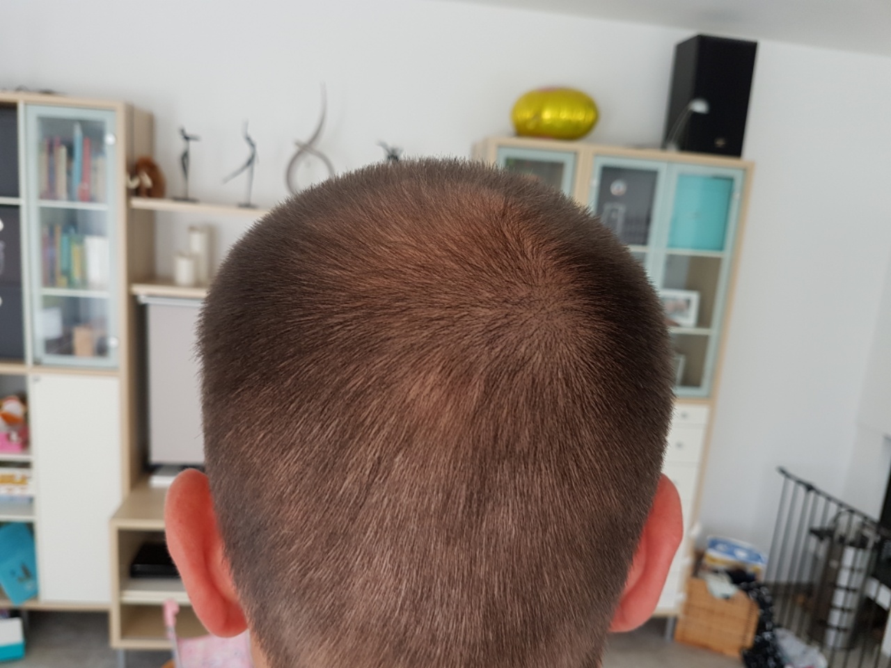 /foren/transplant/index.php?t=getfile&id=40607&private=0