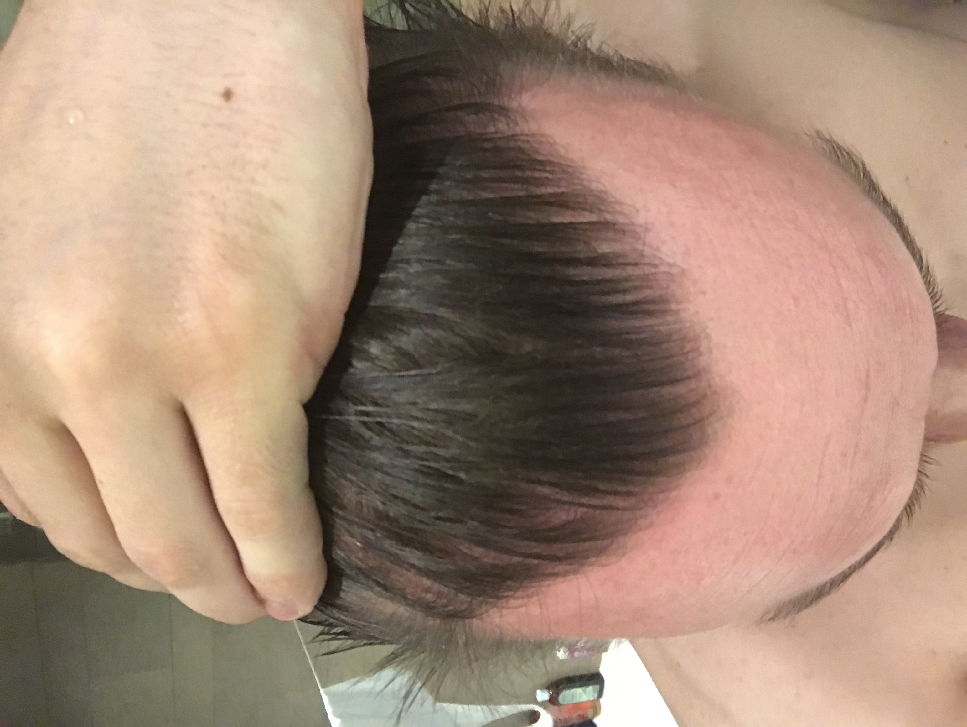 /foren/transplant/index.php?t=getfile&id=40764&private=0