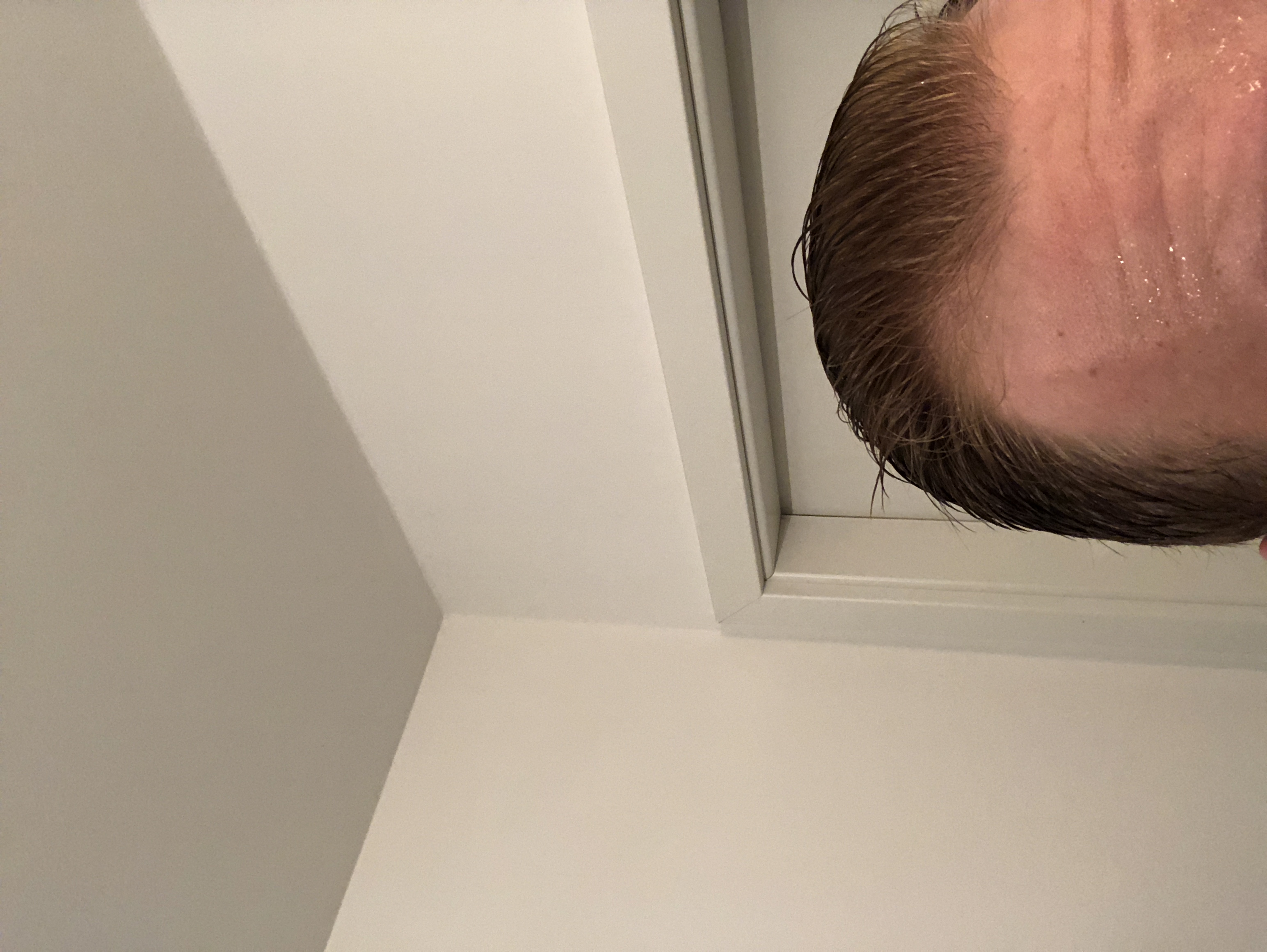 /foren/transplant/index.php?t=getfile&id=40810&private=0