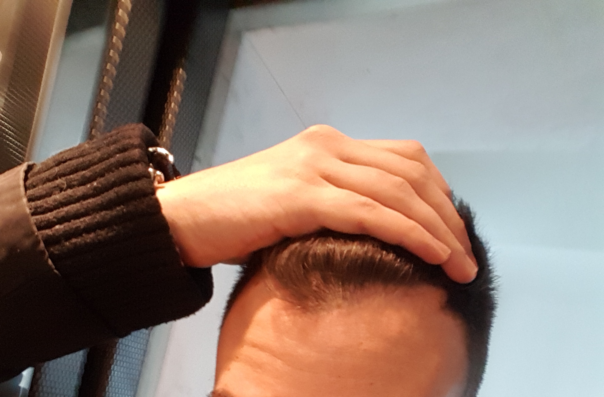 /foren/transplant/index.php?t=getfile&id=41170&private=0