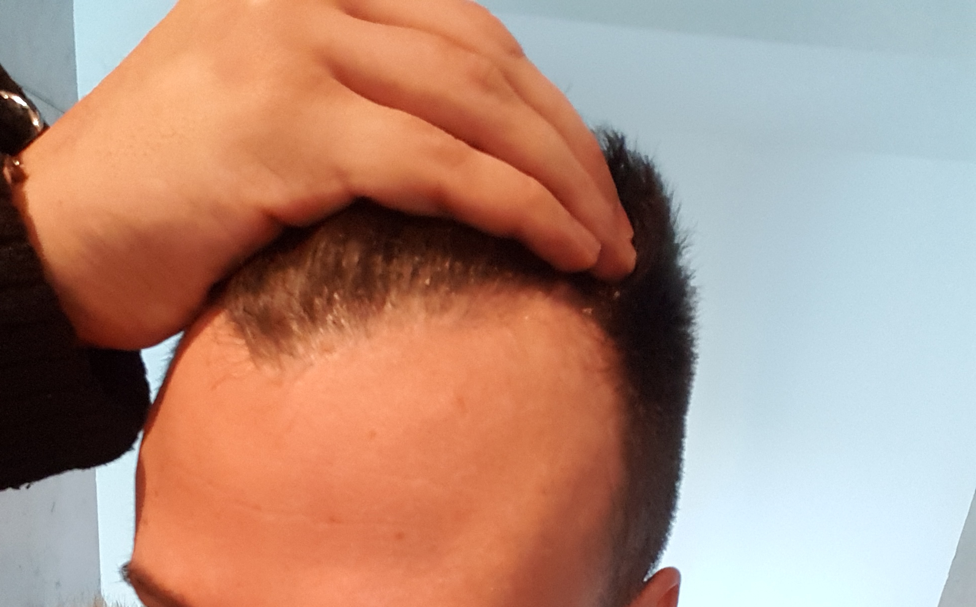 /foren/transplant/index.php?t=getfile&id=41171&private=0