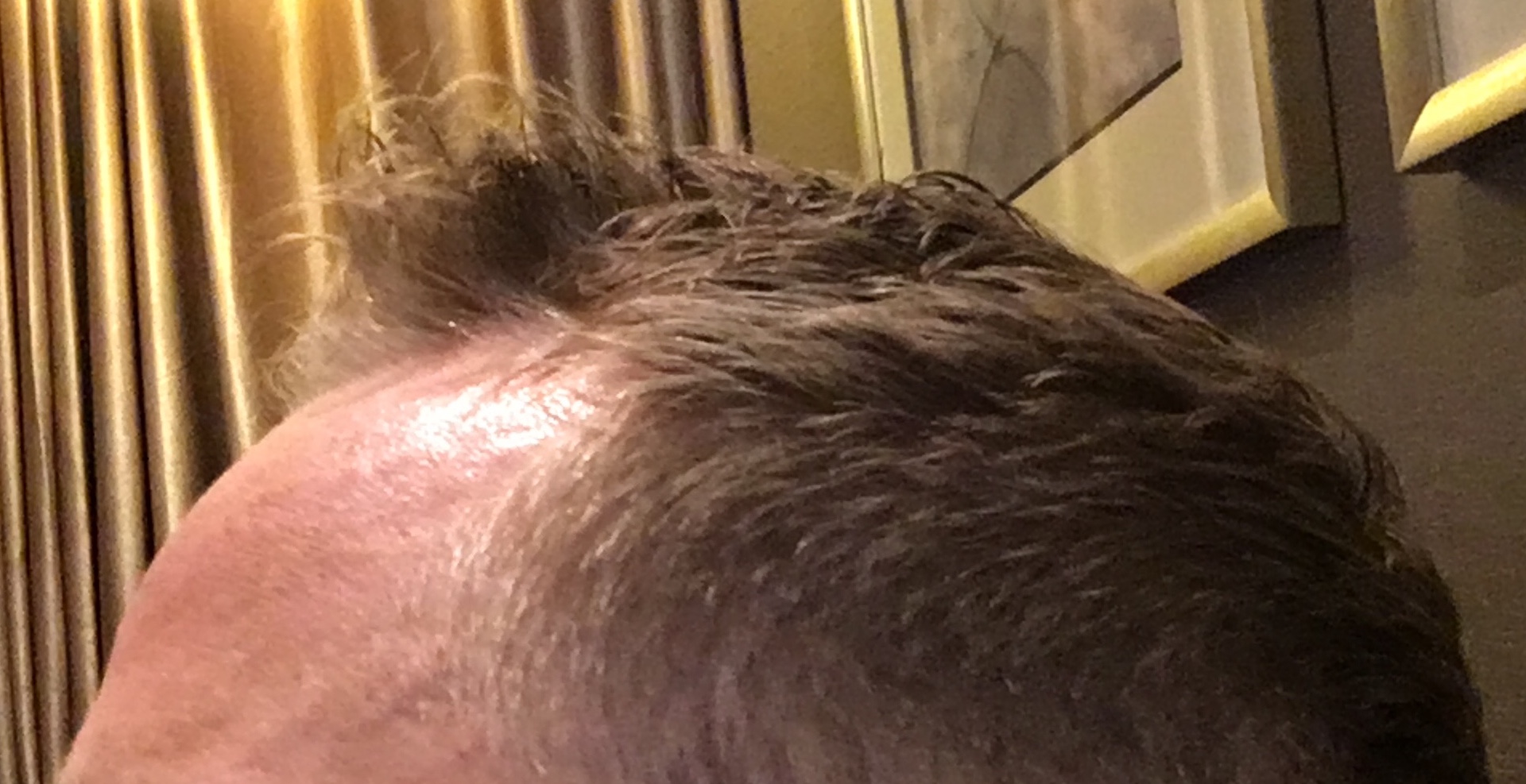 /foren/transplant/index.php?t=getfile&id=41197&private=0