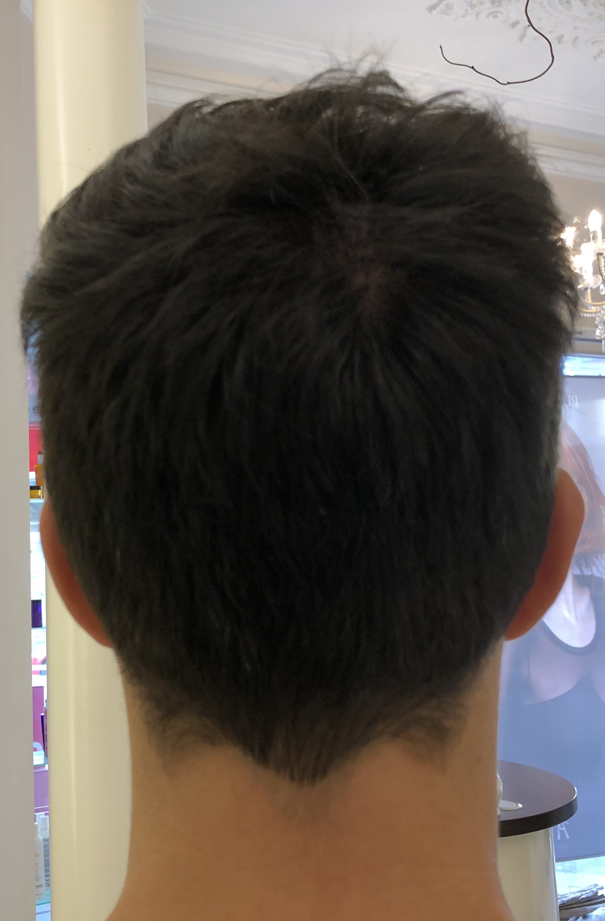 /foren/transplant/index.php?t=getfile&id=41634&private=0