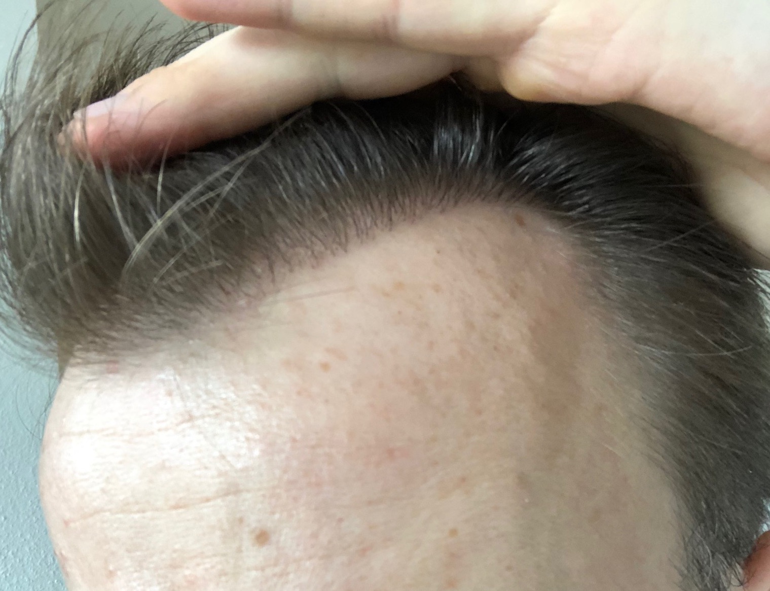 /foren/transplant/index.php?t=getfile&id=41899&private=0