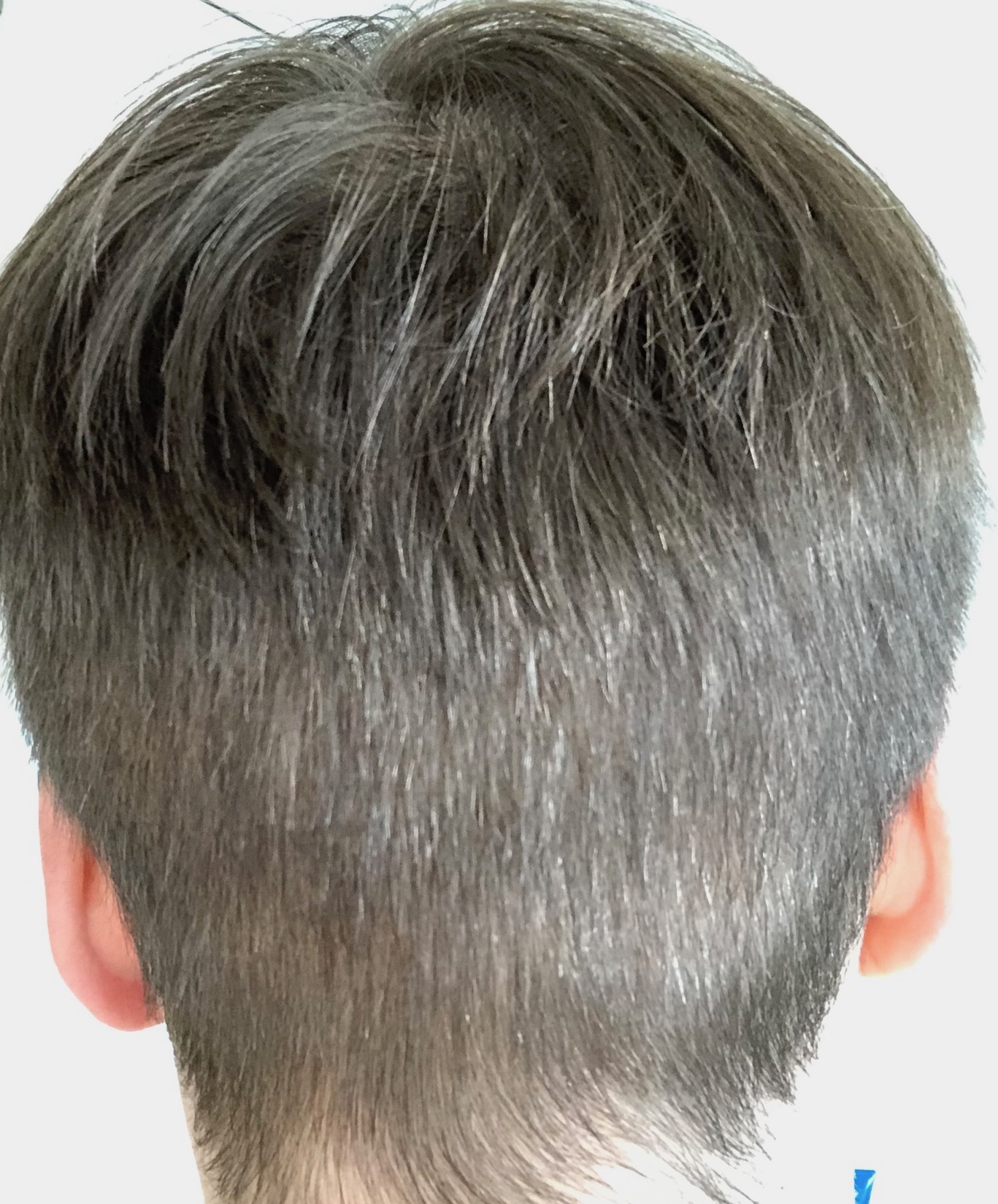 /foren/transplant/index.php?t=getfile&id=41901&private=0