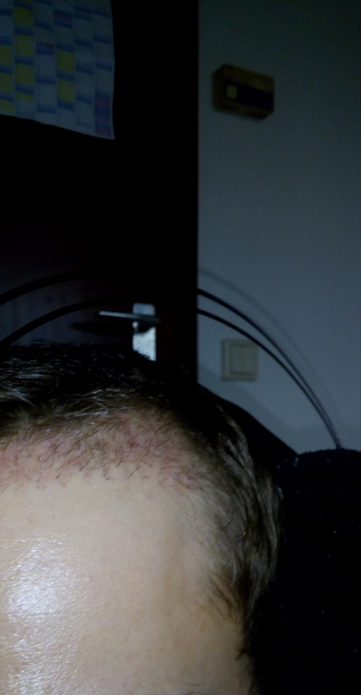 /foren/transplant/index.php?t=getfile&id=42306&private=0