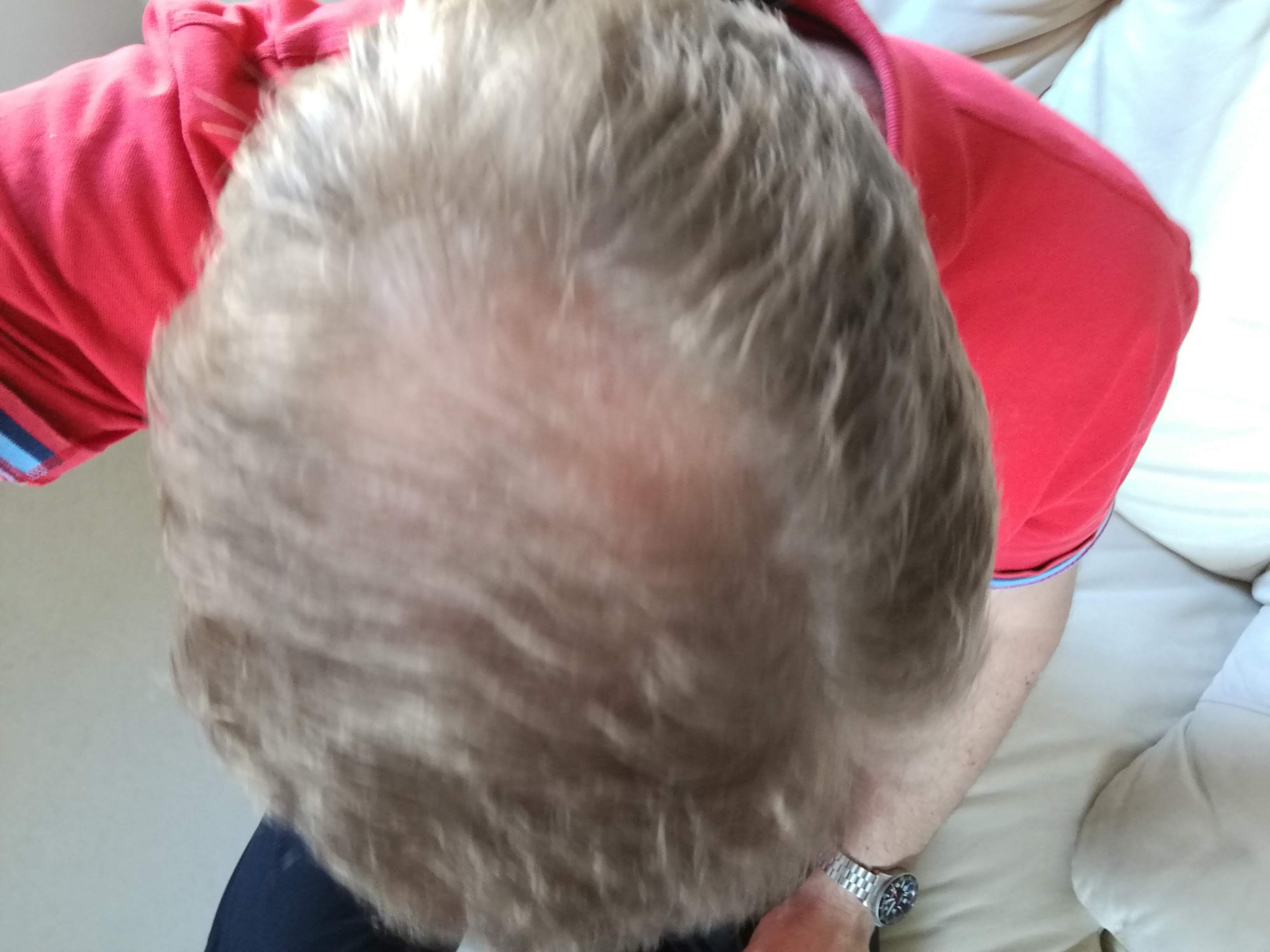 /foren/transplant/index.php?t=getfile&id=42317&private=0