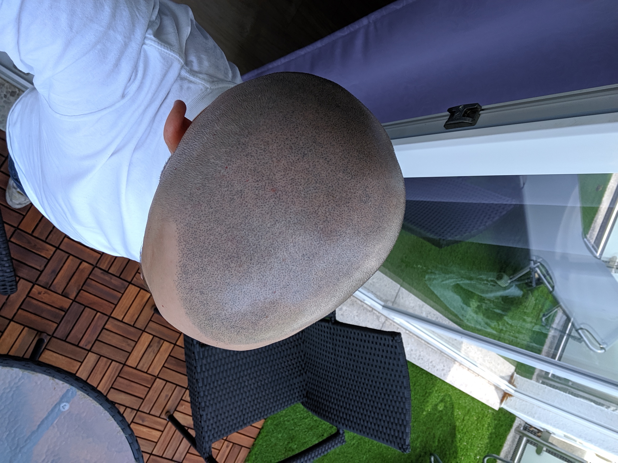 /foren/transplant/index.php?t=getfile&id=43001&private=0