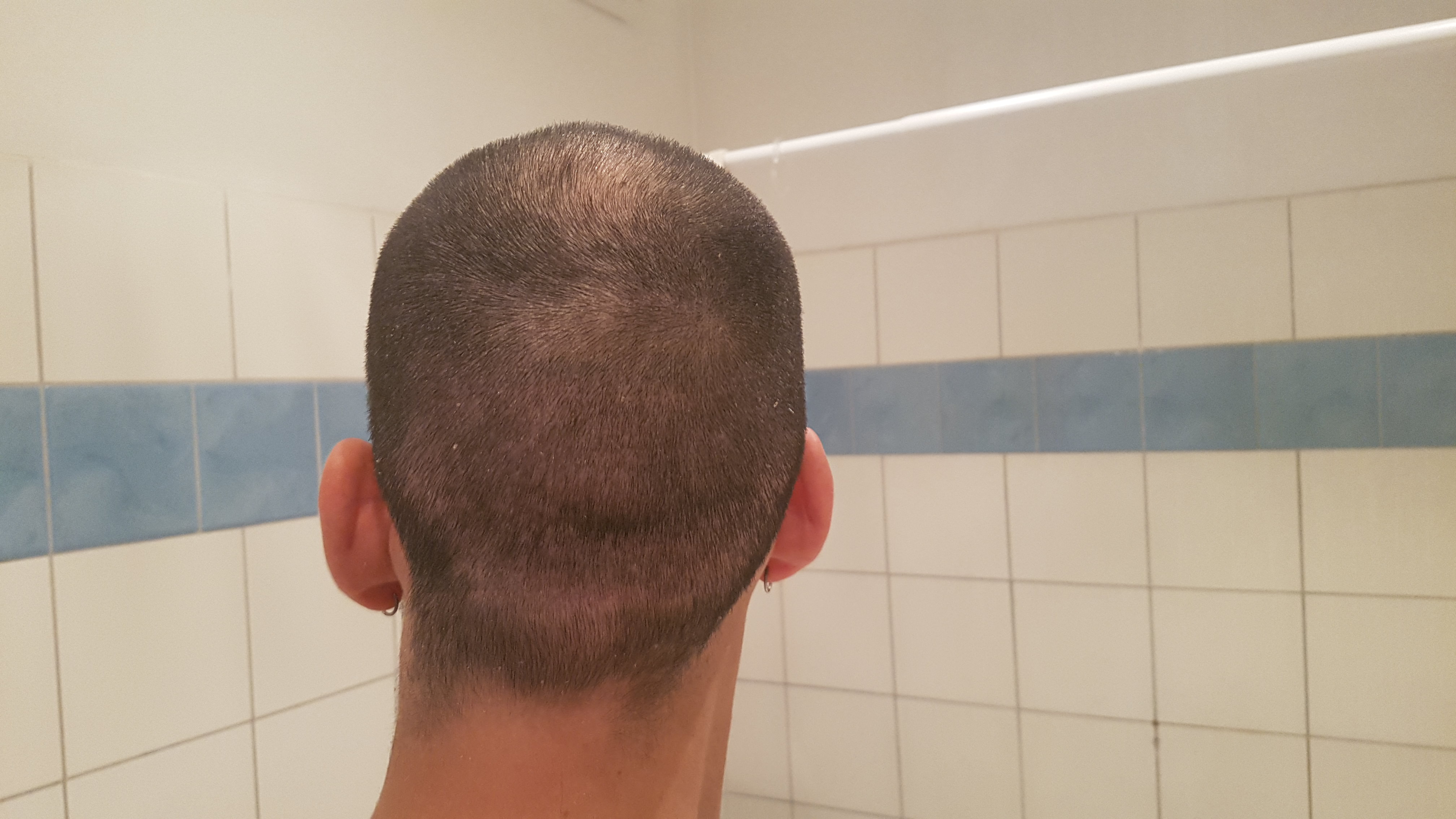 /foren/transplant/index.php?t=getfile&id=43063&private=0