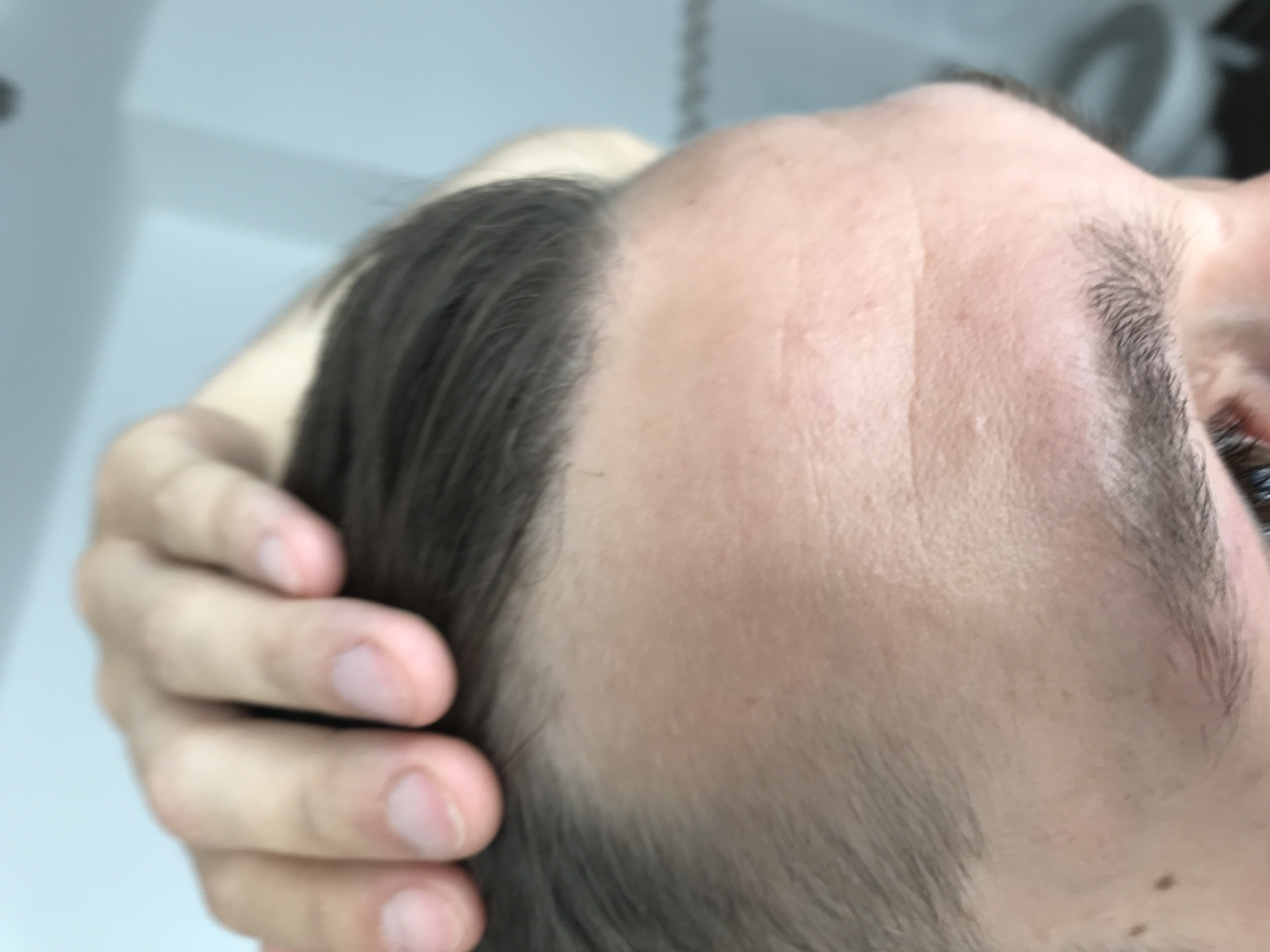 /foren/transplant/index.php?t=getfile&id=43363&private=0