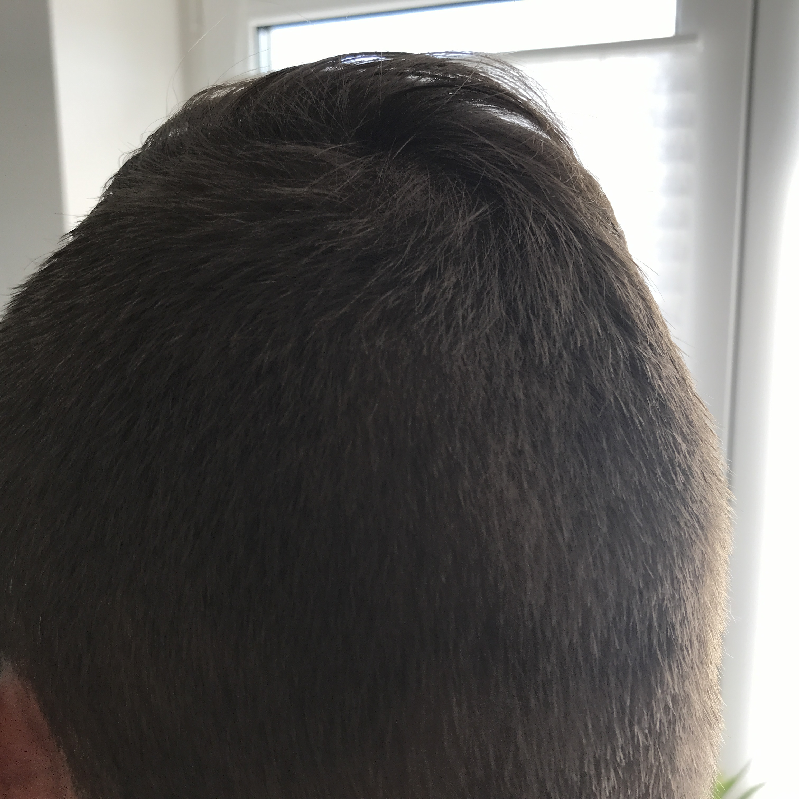 /foren/transplant/index.php?t=getfile&id=43366&private=0