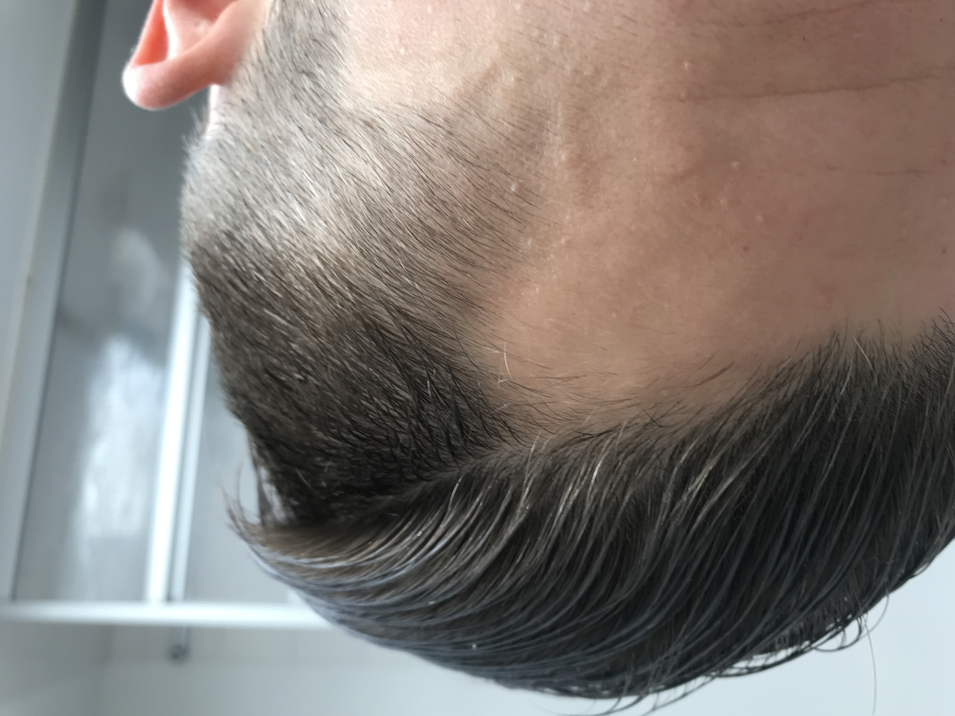 /foren/transplant/index.php?t=getfile&id=43370&private=0