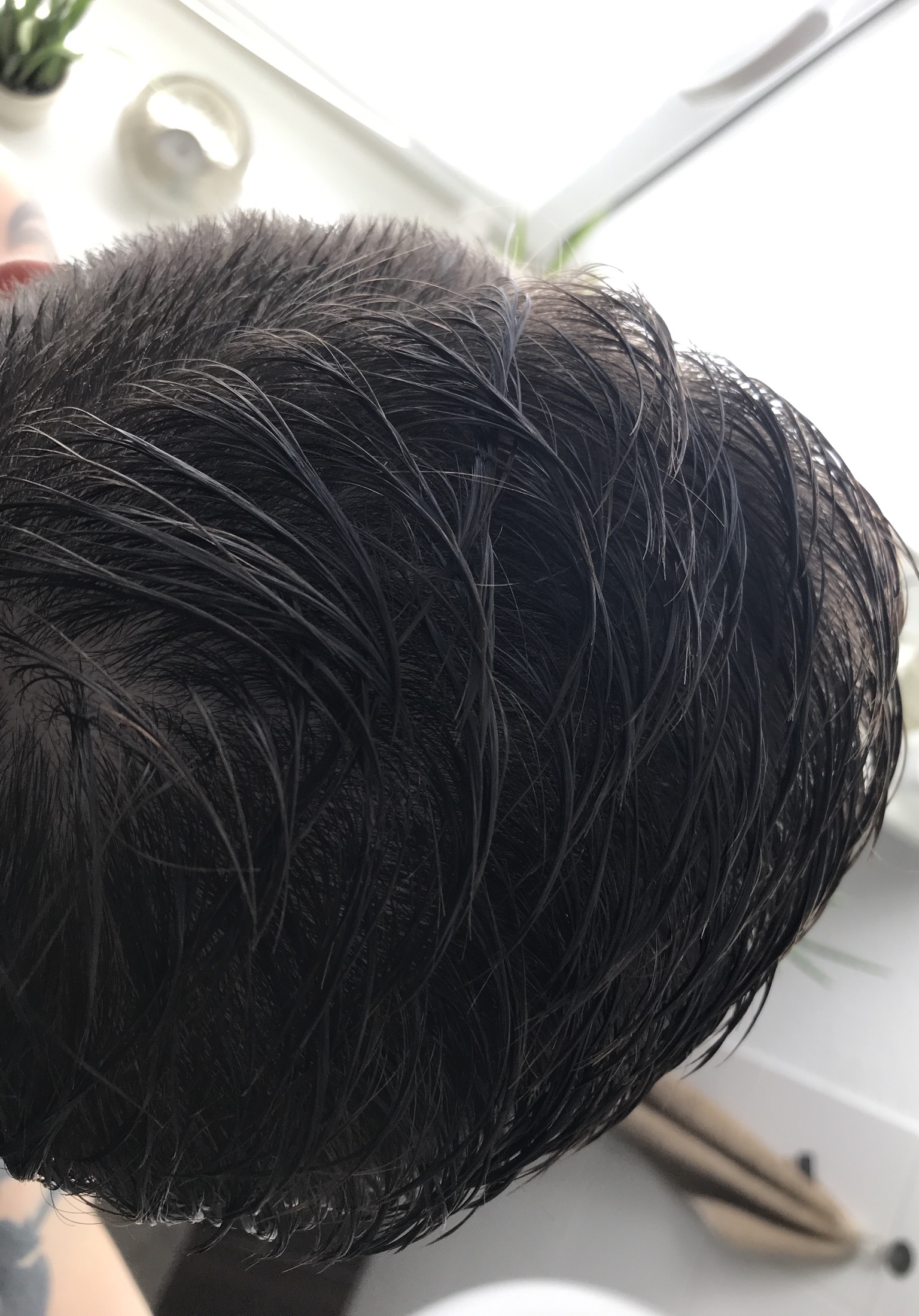 /foren/transplant/index.php?t=getfile&id=43371&private=0