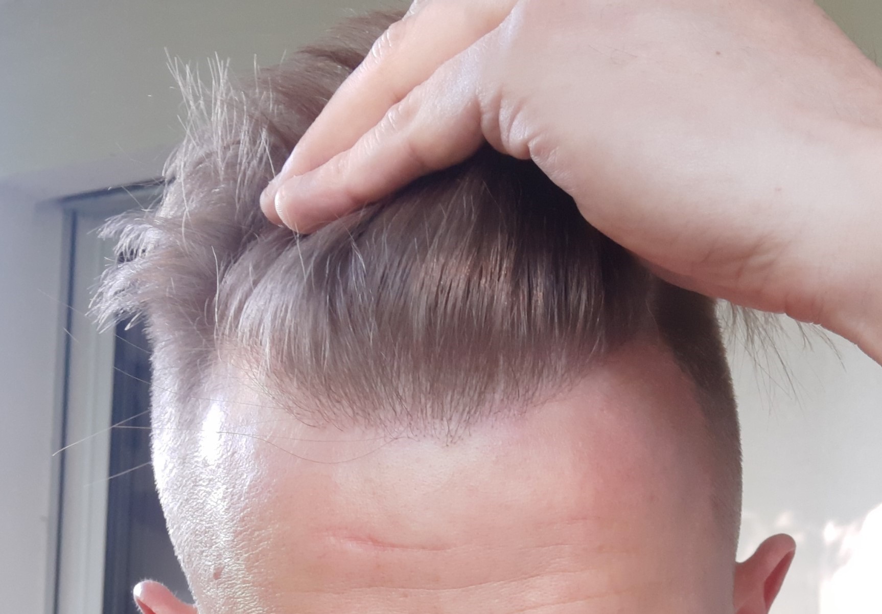 /foren/transplant/index.php?t=getfile&id=43460&private=0