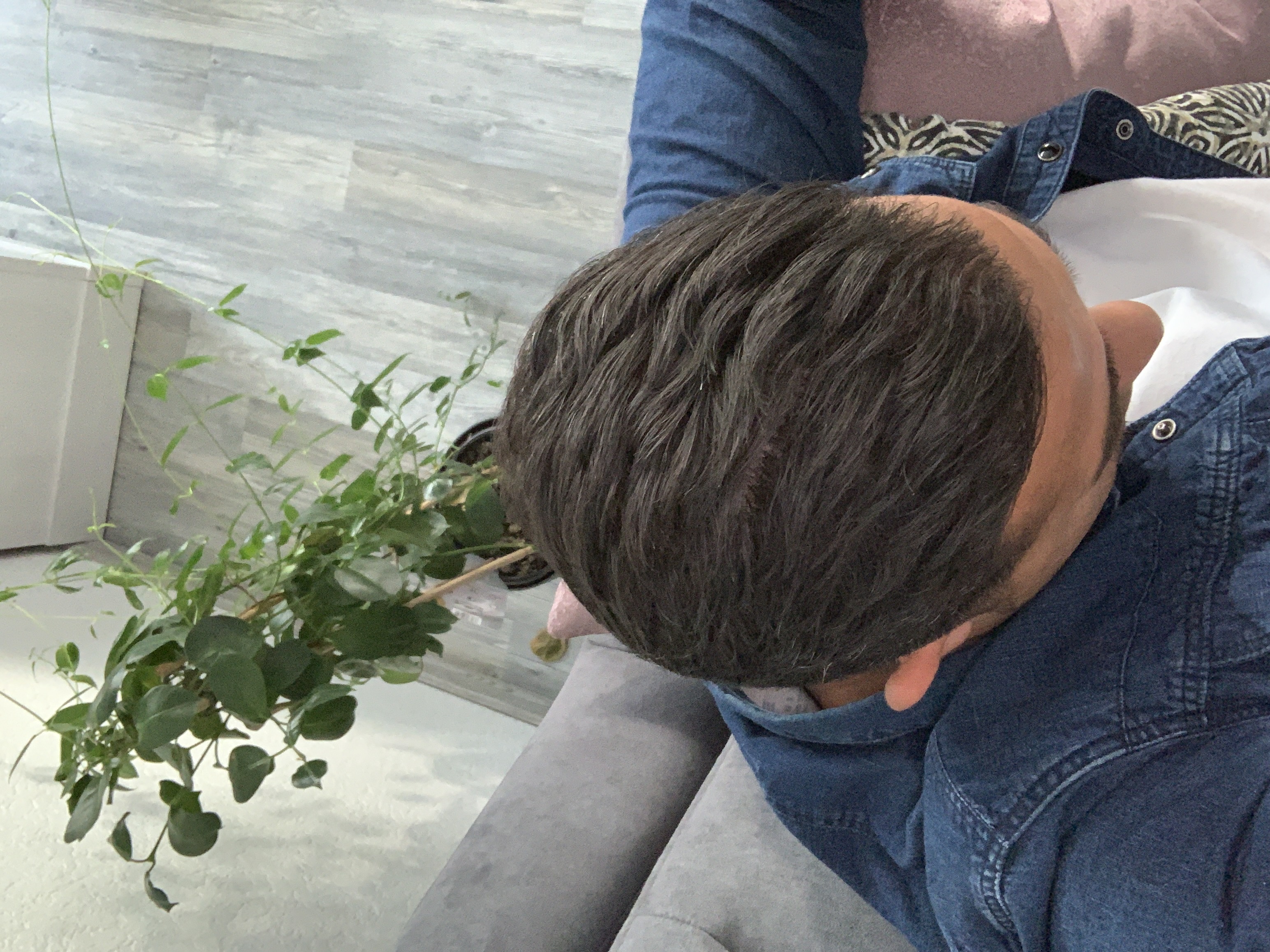 /foren/transplant/index.php?t=getfile&id=43788&private=0