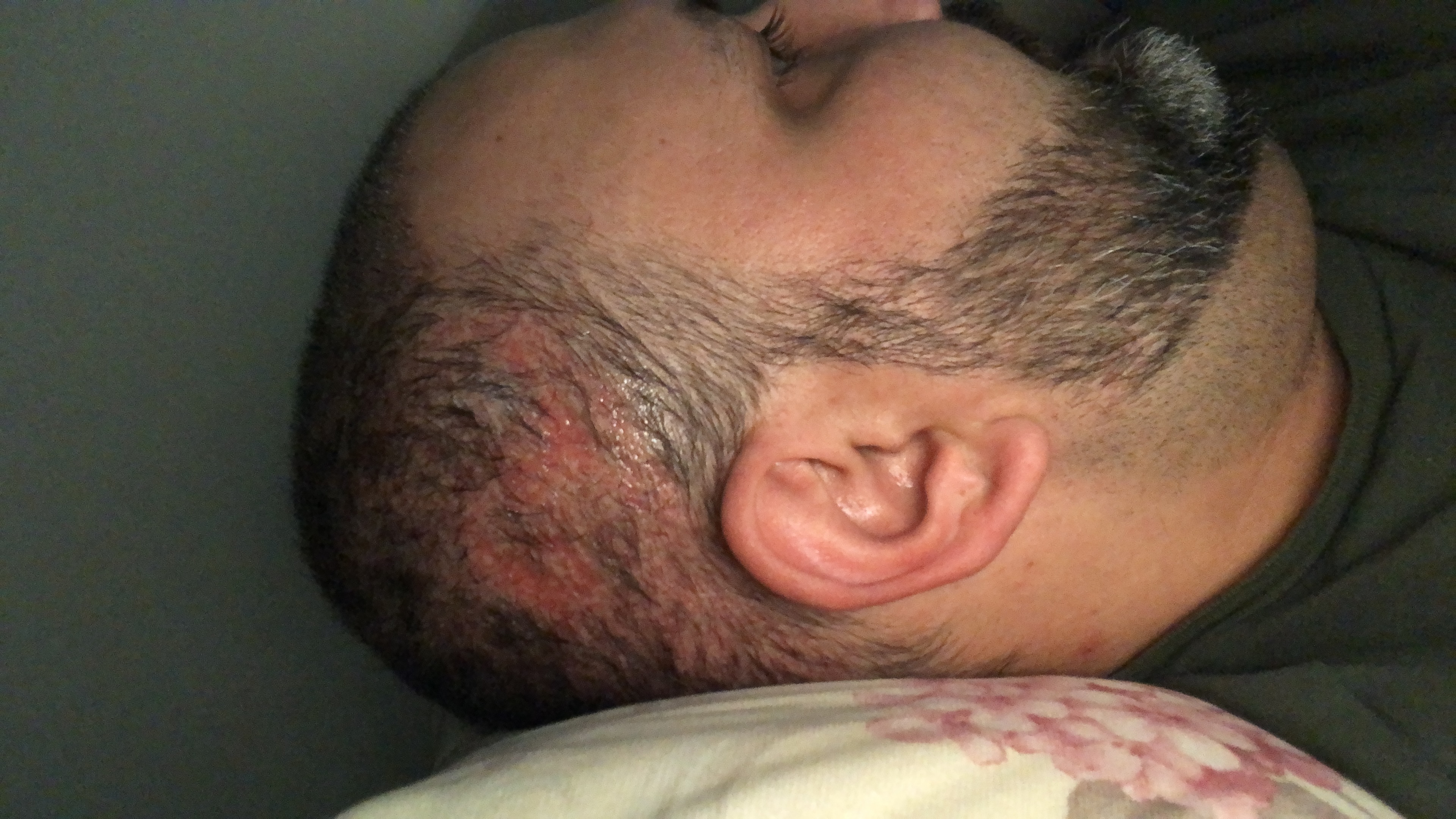 /foren/transplant/index.php?t=getfile&id=44874&private=0