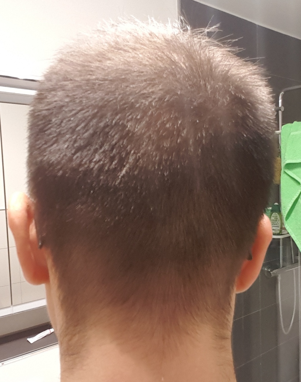 /foren/transplant/index.php?t=getfile&id=44951&private=0