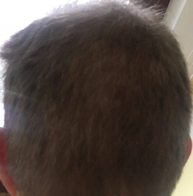 /foren/transplant/index.php?t=getfile&id=45048&private=0