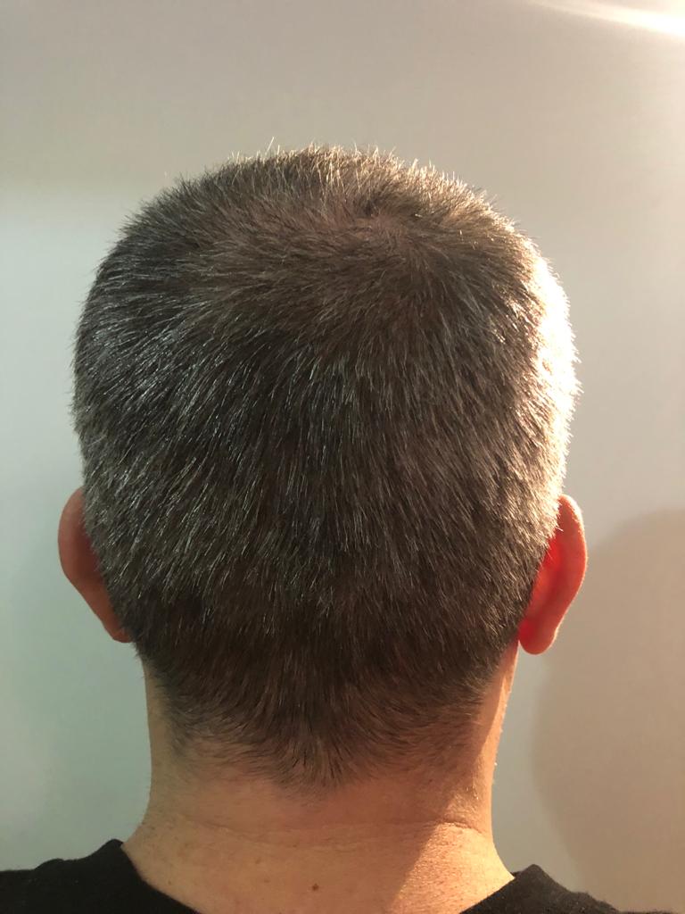 /foren/transplant/index.php?t=getfile&id=45072&private=0