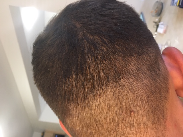 /foren/transplant/index.php?t=getfile&id=45142&private=0