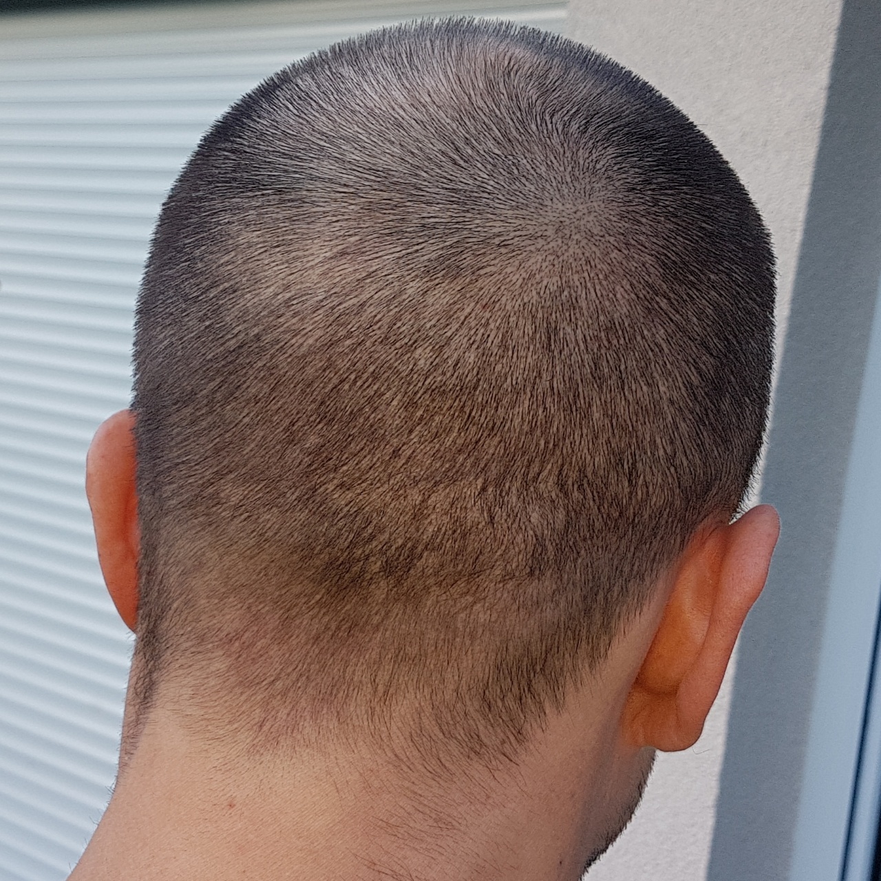 /foren/transplant/index.php?t=getfile&id=45208&private=0