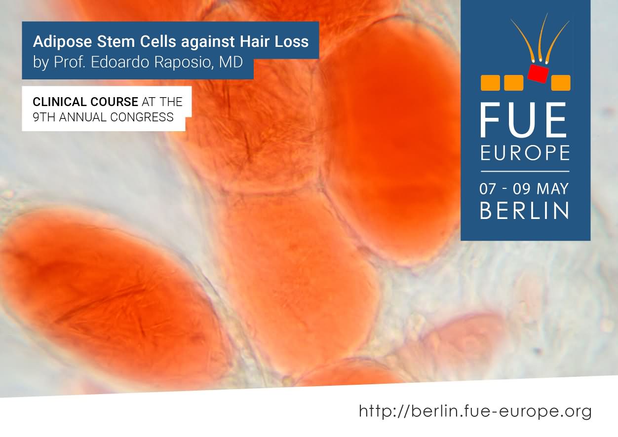 /foren/transplant/index.php?t=getfile&id=45485&private=0