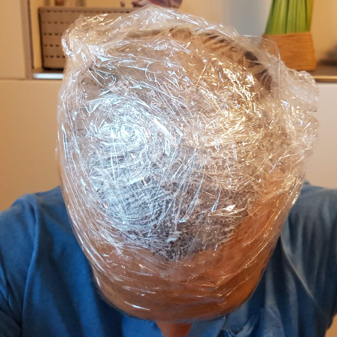 /foren/transplant/index.php?t=getfile&id=45709&private=0