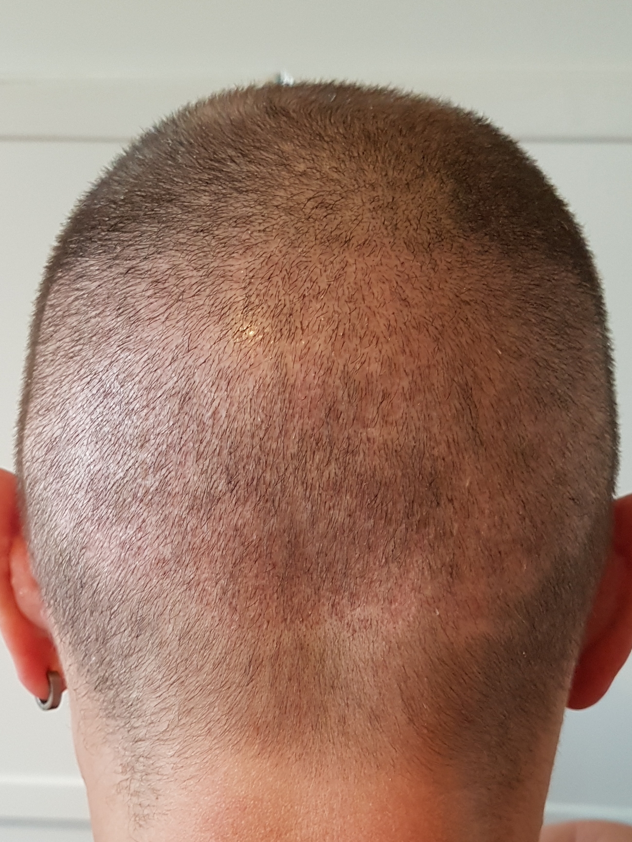 /foren/transplant/index.php?t=getfile&id=45816&private=0