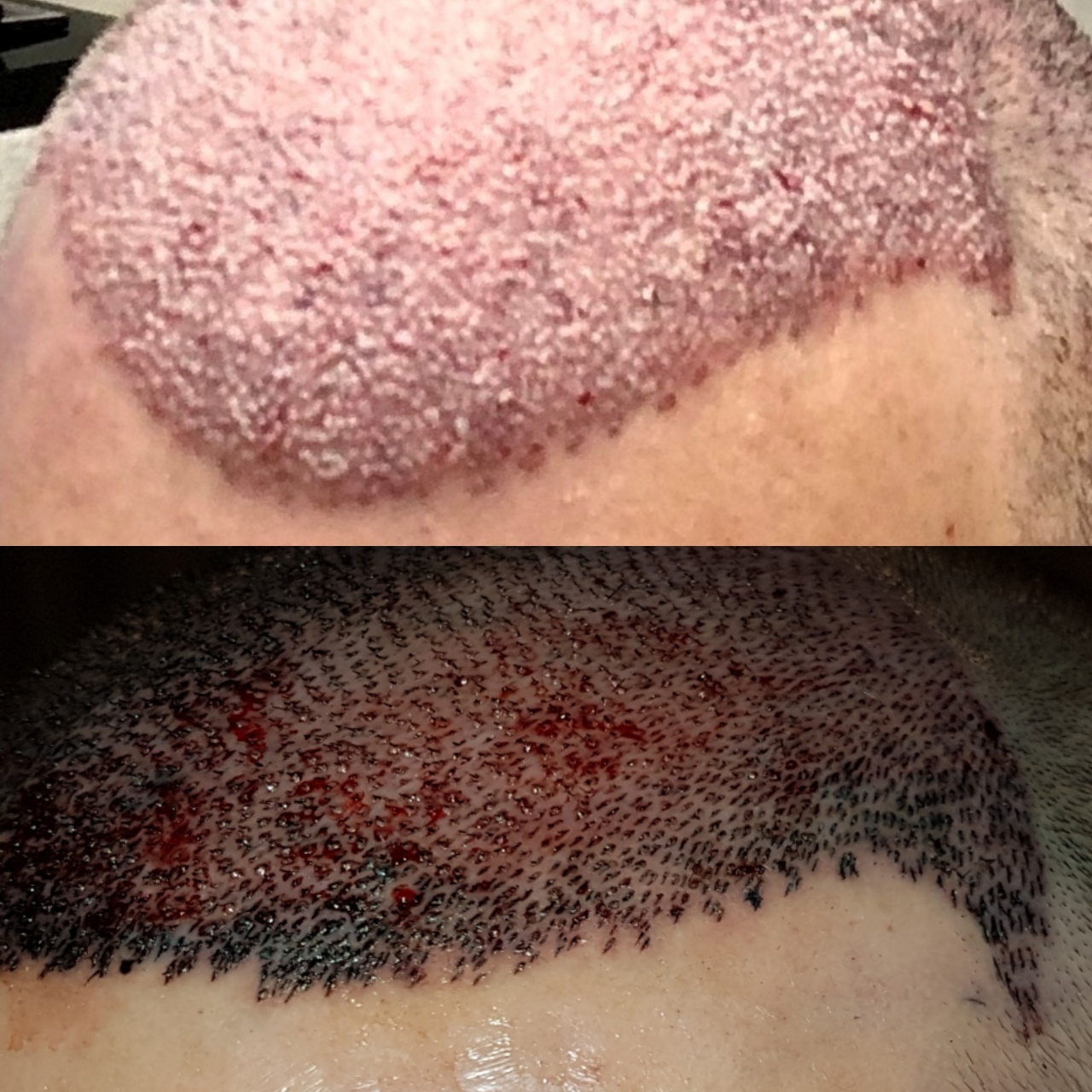 /foren/transplant/index.php?t=getfile&id=46110&private=0