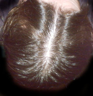 index.php/fa/1002/0/