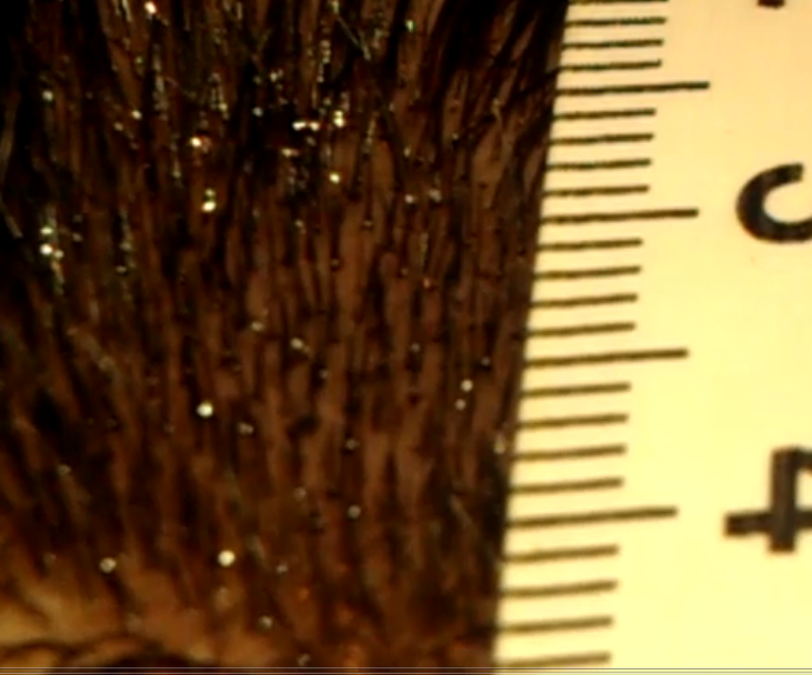 index.php/fa/10087/0/