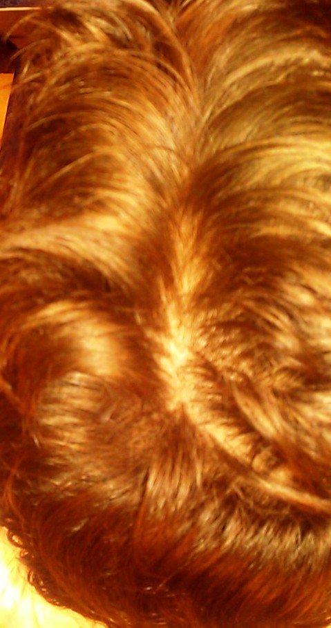 index.php/fa/10105/0/