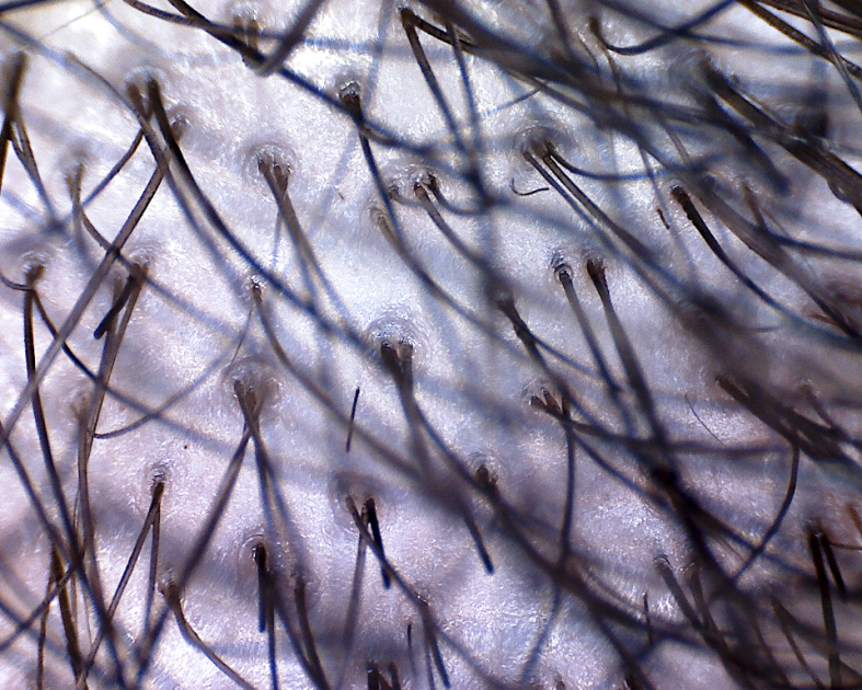 index.php/fa/10176/0/