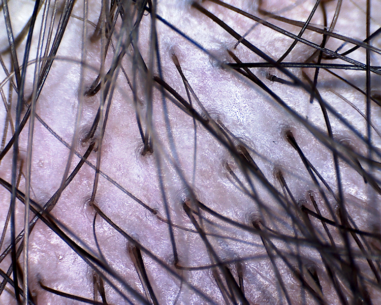 index.php/fa/10177/0/