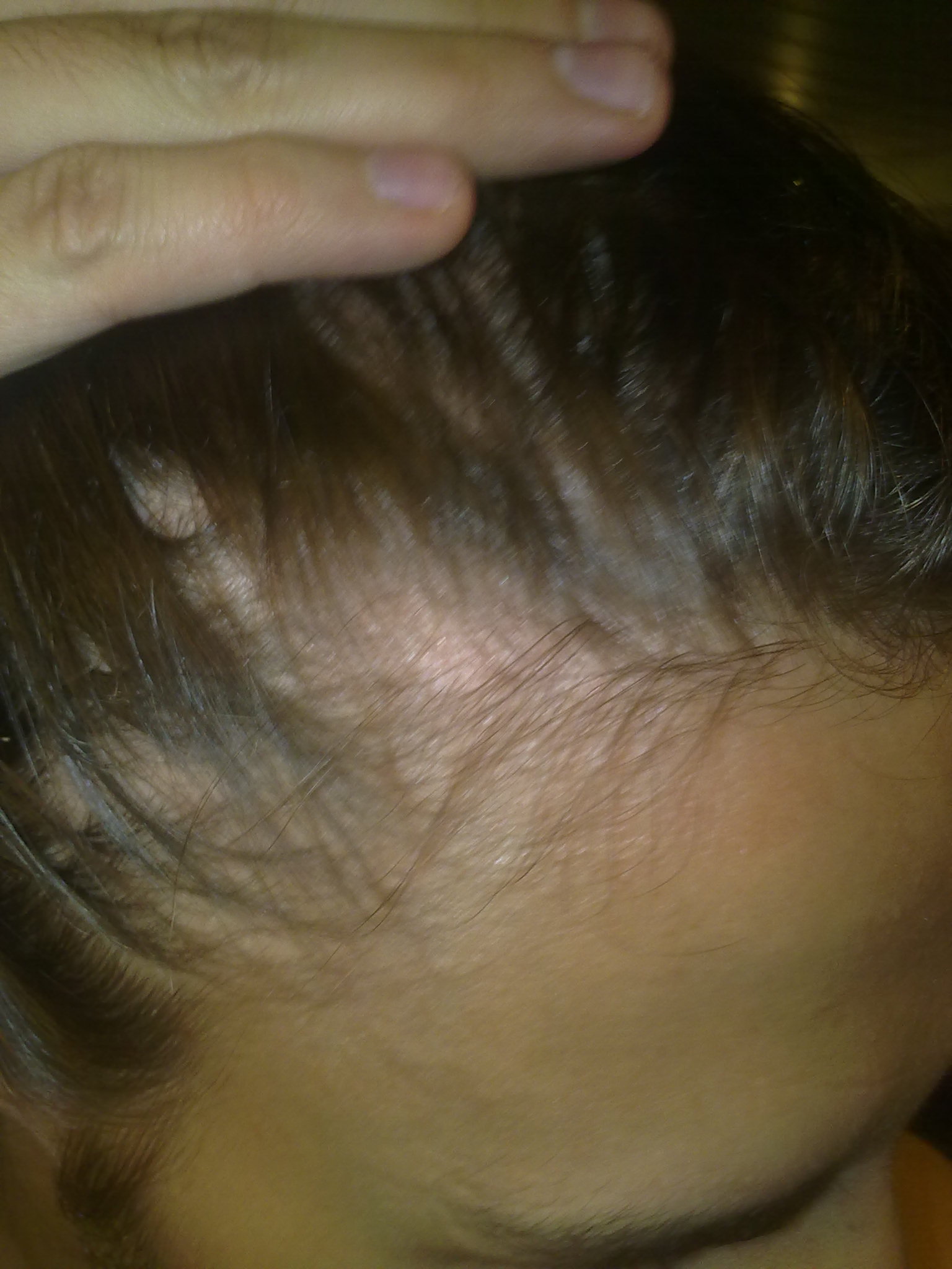 index.php/fa/10209/0/