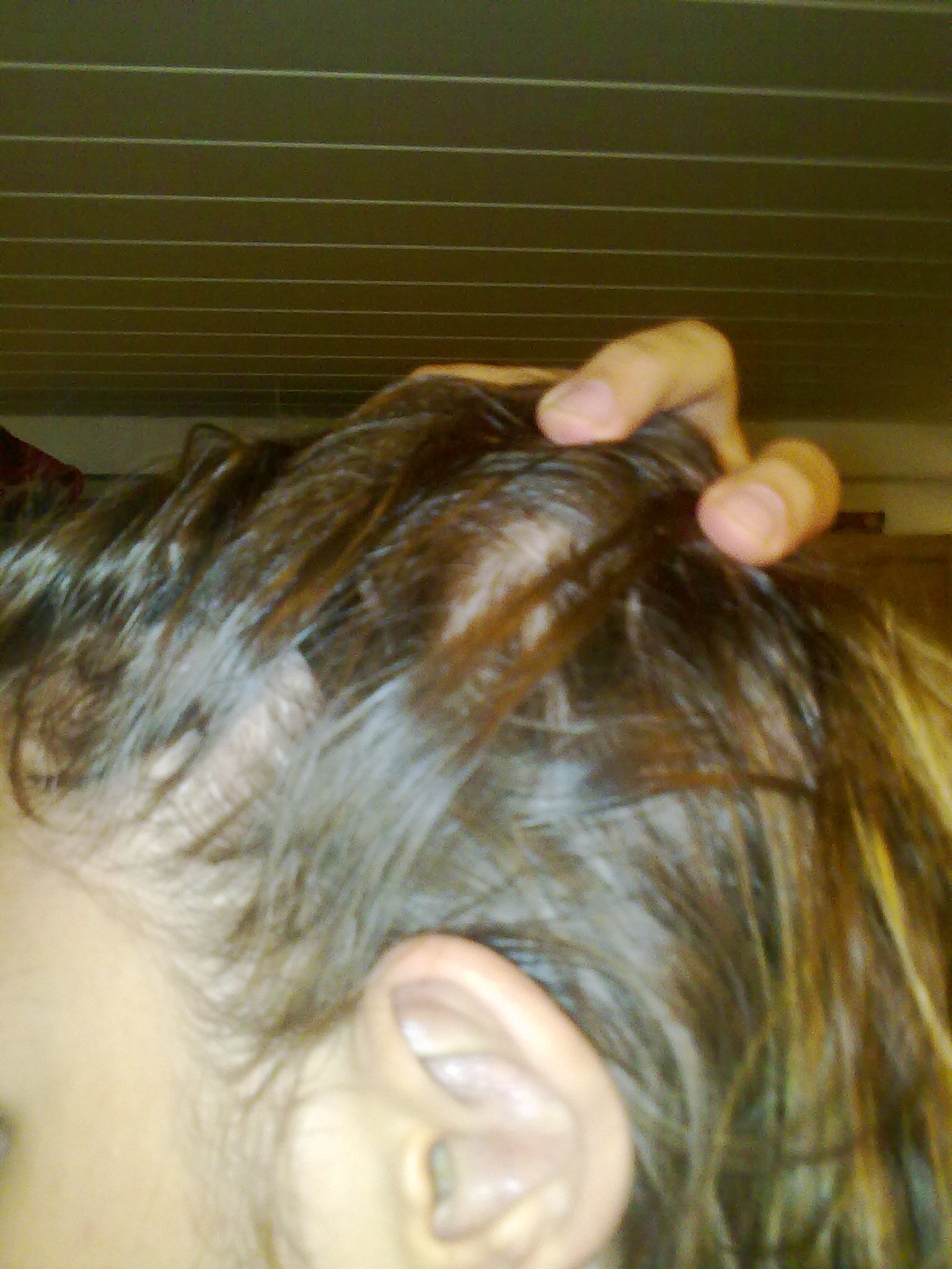 index.php/fa/10212/0/