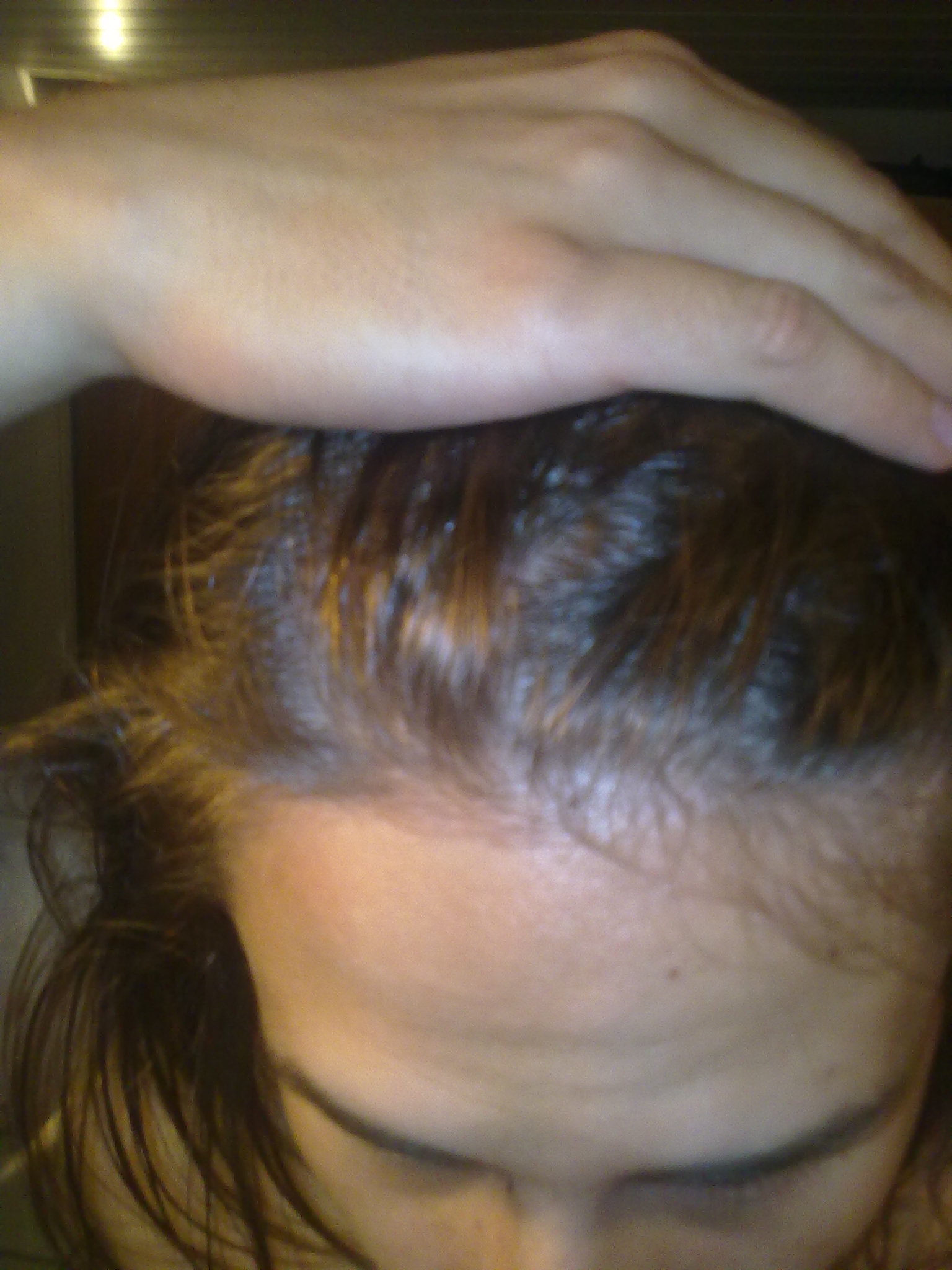 index.php/fa/10213/0/